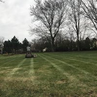 Bush Trimming